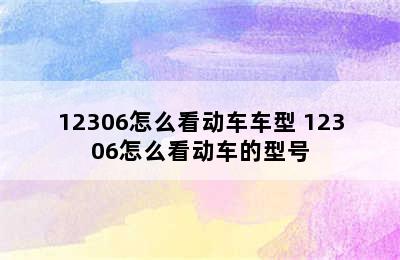 12306怎么看动车车型 12306怎么看动车的型号